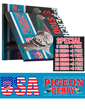 usa pigeon derby