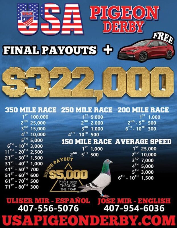 usa pigeon derby